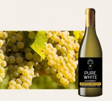 Chardonnay  Pure White Vandeurzen 2019-2020